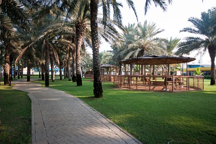 Аквапарк в Дубаи Dreamland